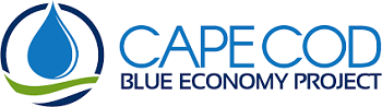 Blue Economy Project logo