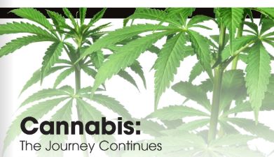 Cannabis Jouney
