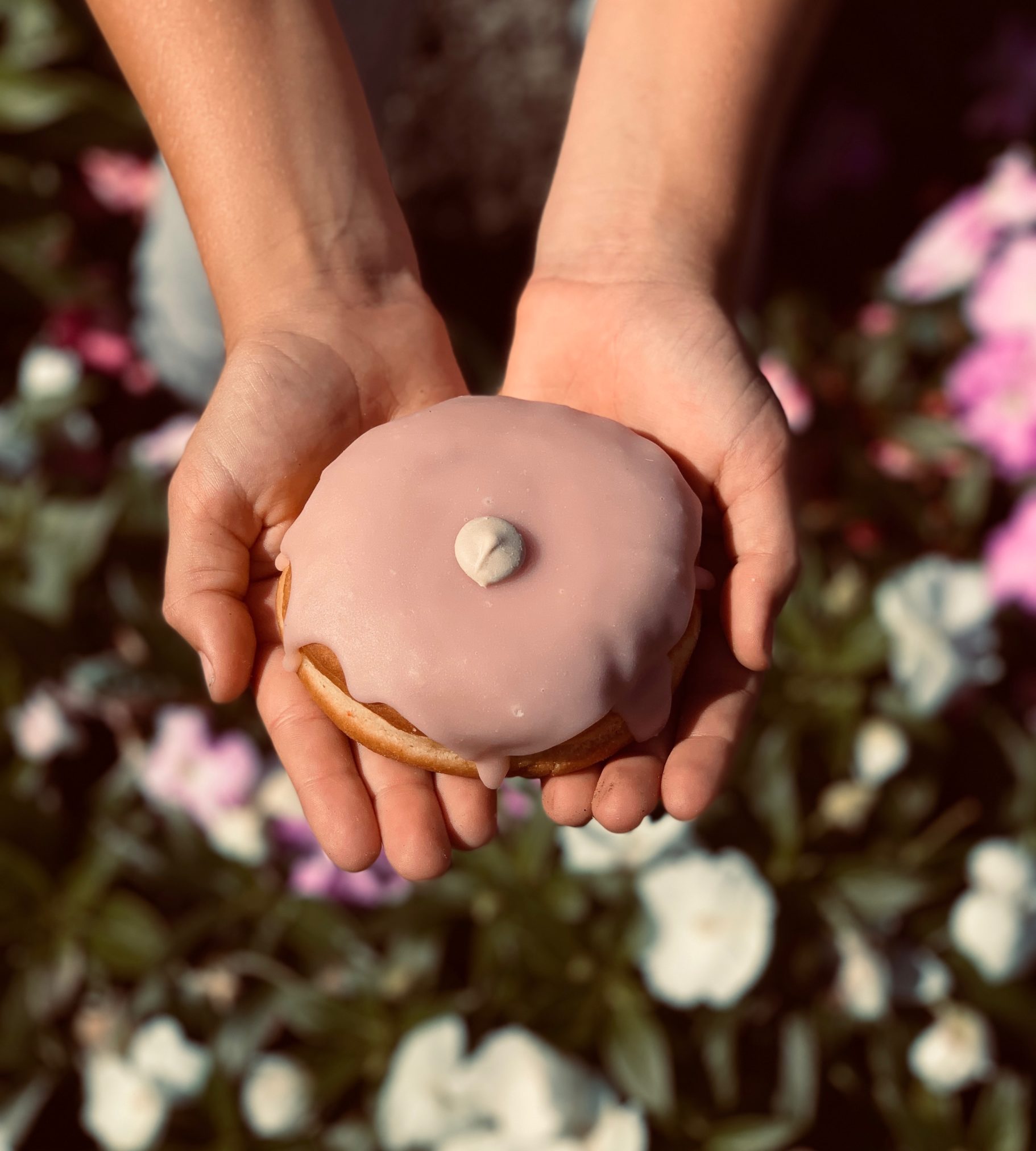 breast donut scaled