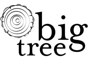 Big Tree Video Logo