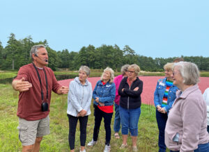 Steve Ward cranberry tour guide
