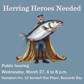 Herring heroes needed banner