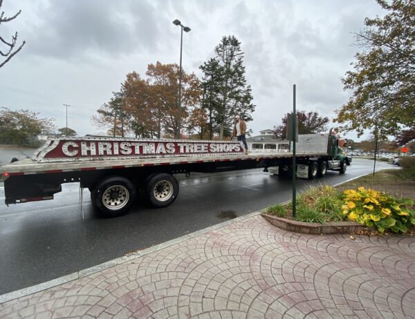 Christmas tree shop sign