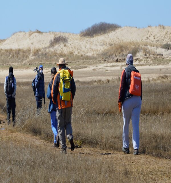 explorers in the dunes