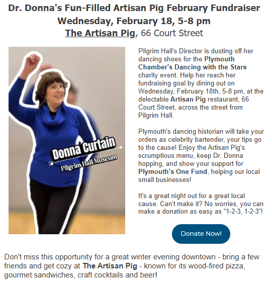 Artisan-Pig-Dancer-Donna-Curtain-February-