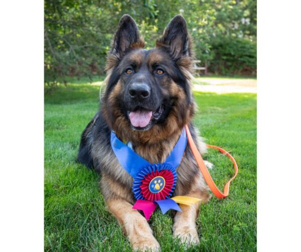 Charlie Brown, the first winner of the America's Hometown Hound Contest.