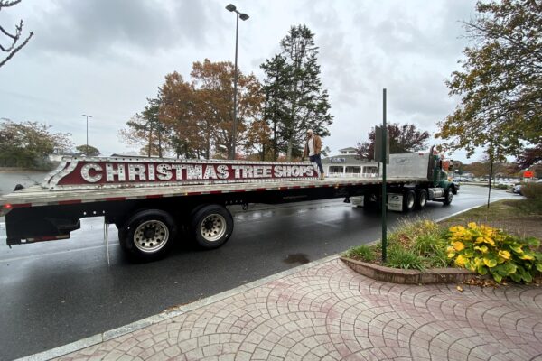 Christmas Tree Shops Sign