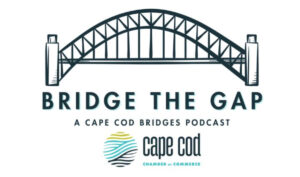 BridgeTheGap
