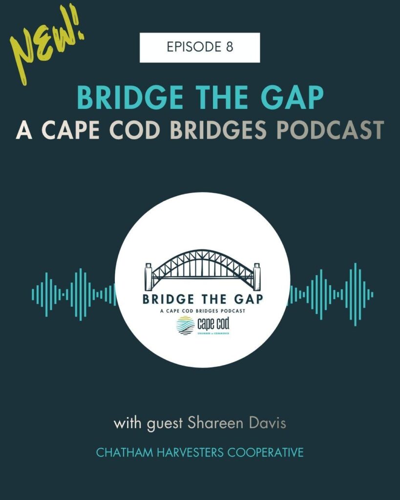 bridge the gap episode 8